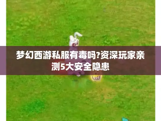 梦幻西游私服有毒吗?资深玩家亲测5大安全隐患