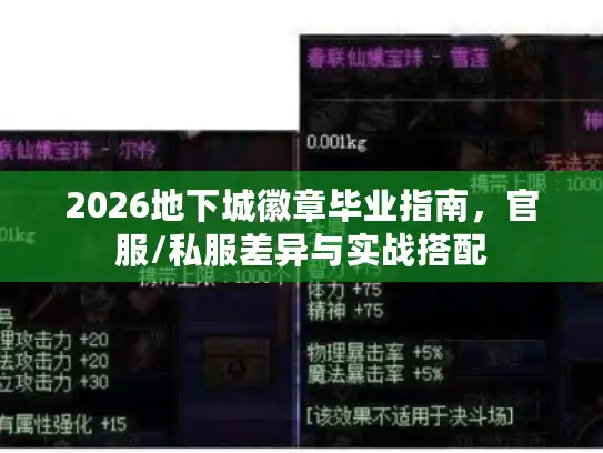 2026地下城徽章毕业指南,官服/私服差异与实战搭配 2026地下城徽章毕业指南,官服/私服差异与实战搭配