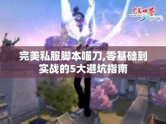 完美私服脚本喵刀,零基础到实战的5大避坑指南