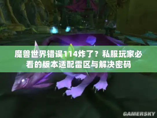 魔兽世界错误114炸了？私服玩家必看的版本适配雷区与解决密码