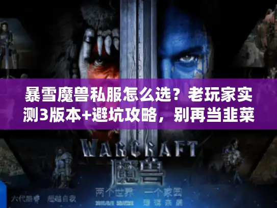 暴雪魔兽私服怎么选？老玩家实测3版本+避坑攻略，别再当韭菜