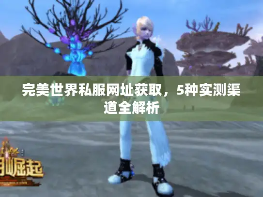 完美世界私服网址获取，5种实测渠道全解析