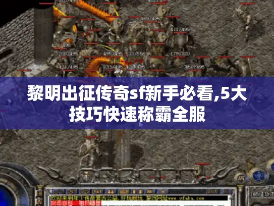 黎明出征传奇sf新手必看,5大技巧快速称霸全服 黎明出征传奇sf新手必看,5大技巧快速称霸全服