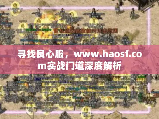 寻找良心服，www.haosf.com实战门道深度解析