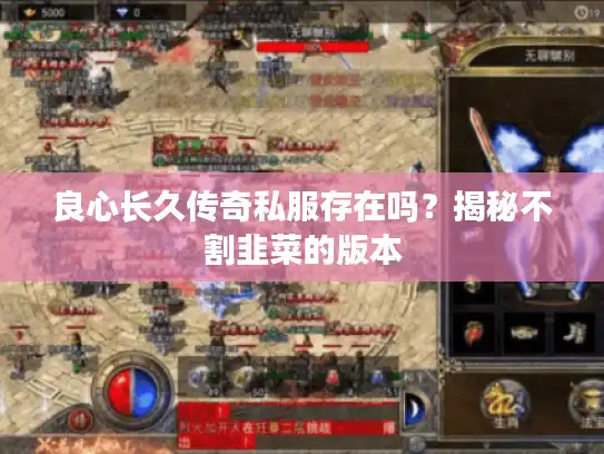 良心长久传奇私服存在吗？揭秘不割韭菜的版本