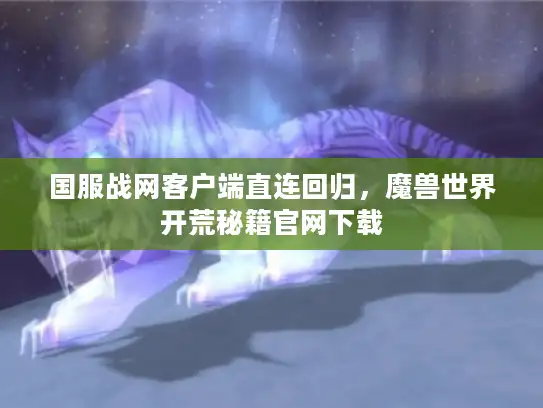 国服战网客户端直连回归,魔兽世界开荒秘籍官网下载 国服战网客户端直连回归,魔兽世界开荒秘籍官网下载