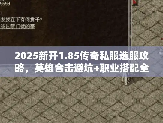 2025新开1.85传奇私服选服攻略,英雄合击避坑+职业搭配全解析 2025新开1.85传奇私服选服攻略,英雄合击避坑+职业搭配全解析