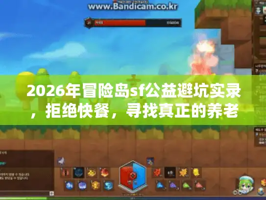 2026年冒险岛sf公益避坑实录，拒绝快餐，寻找真正的养老服