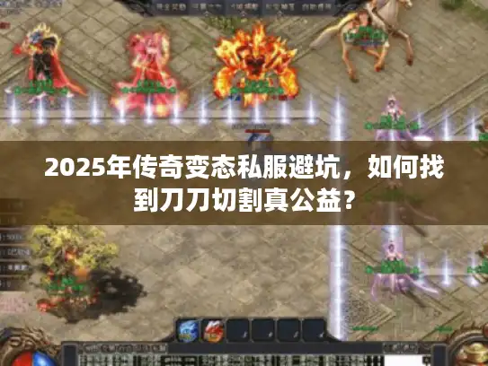 2025年传奇变态私服避坑，如何找到刀刀切割真公益？