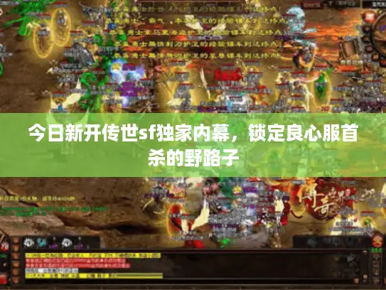 今日新开传世sf独家内幕,锁定良心服首杀的野路子 今日新开传世sf独家内幕,锁定良心服首杀的野路子