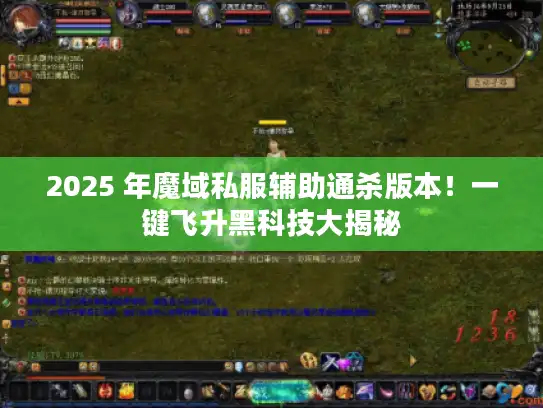 2025 年魔域私服辅助通杀版本！一键飞升黑科技大揭秘