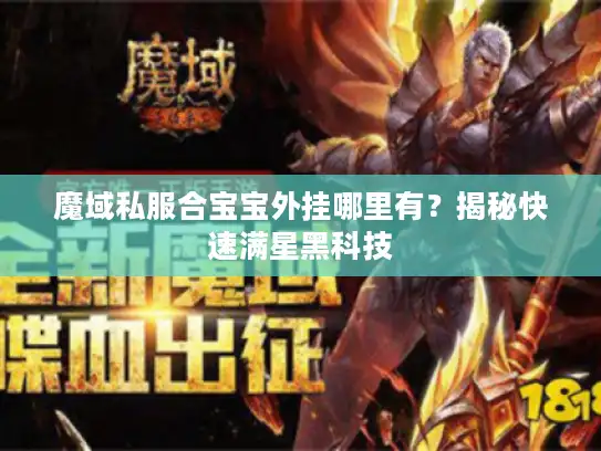 魔域私服合宝宝外挂哪里有？揭秘快速满星黑科技
