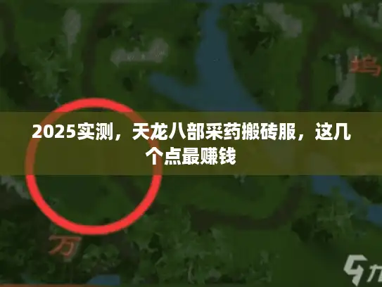 2025实测，天龙八部采药搬砖服，这几个点最赚钱