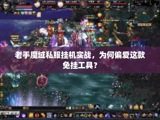 老手魔域私服挂机实战，为何偏爱这款免挂工具？