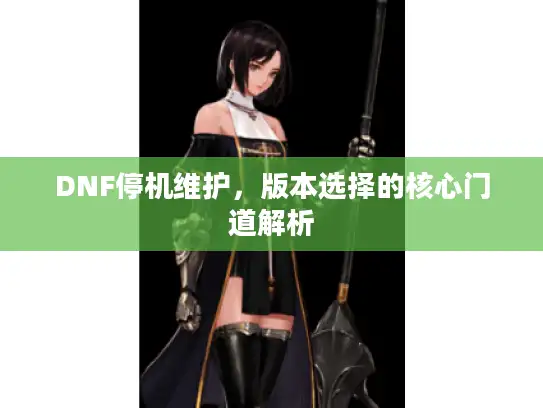 DNF停机维护，版本选择的核心门道解析