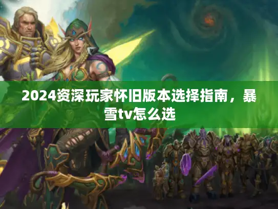 2024资深玩家怀旧版本选择指南，暴雪tv怎么选