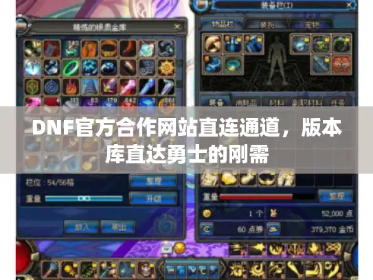 DNF官方合作网站直连通道，版本库直达勇士的刚需