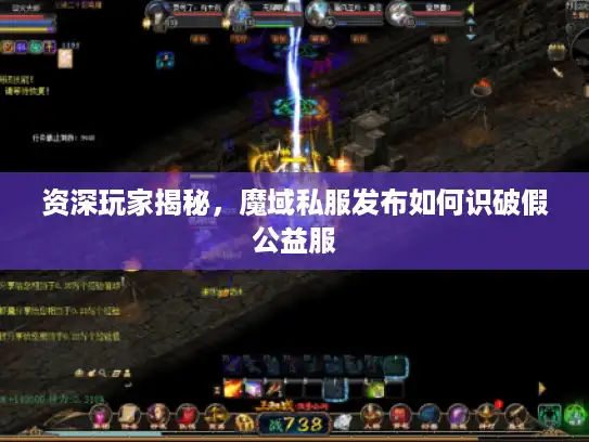 资深玩家揭秘，魔域私服发布如何识破假公益服