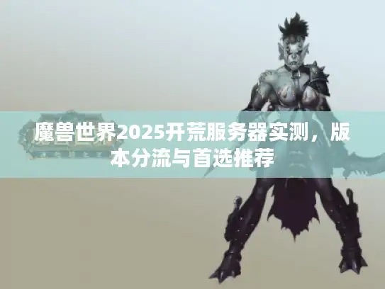 魔兽世界2025开荒服务器实测,版本分流与首选推荐 魔兽世界2025开荒服务器实测,版本分流与首选推荐