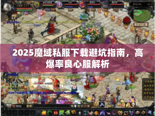 2025魔域私服下载避坑指南，高爆率良心服解析