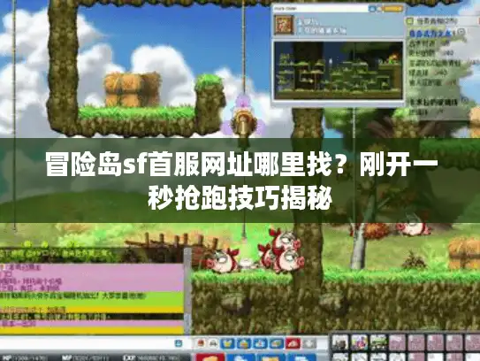 冒险岛sf首服网址哪里找？刚开一秒抢跑技巧揭秘