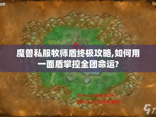 魔兽私服牧师盾终极攻略,如何用一面盾掌控全团命运?