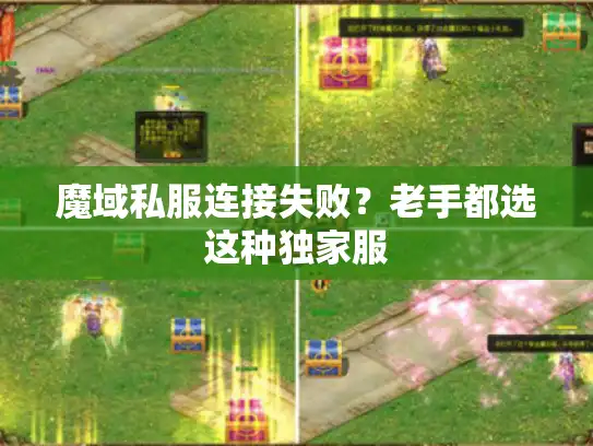 魔域私服连接失败？老手都选这种独家服