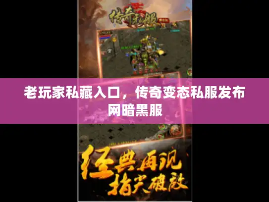 老玩家私藏入口，传奇变态私服发布网暗黑服
