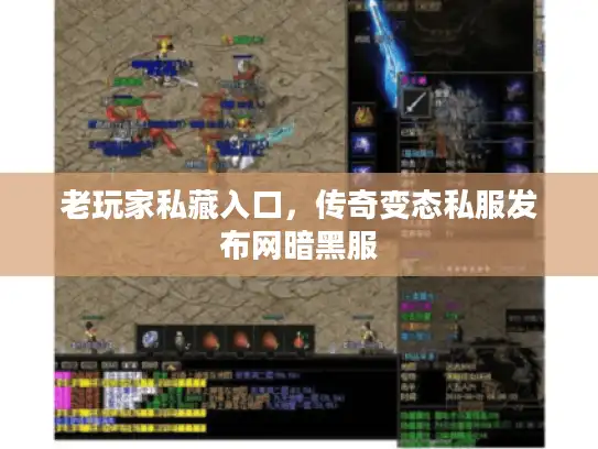 老玩家私藏入口，传奇变态私服发布网暗黑服