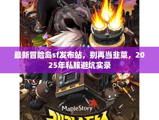 最新冒险岛sf发布站，别再当韭菜，2025年私服避坑实录