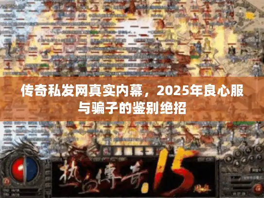 传奇私发网真实内幕,2025年良心服与骗子的鉴别绝招 传奇私发网真实内幕,2025年良心服与骗子的鉴别绝招