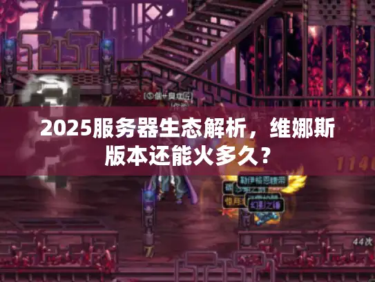2025服务器生态解析，维娜斯版本还能火多久？