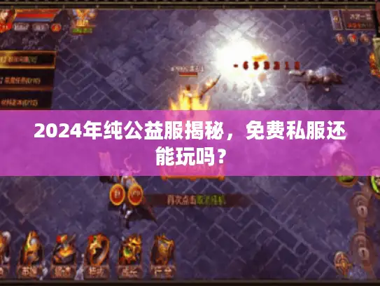 2024年纯公益服揭秘，免费私服还能玩吗？