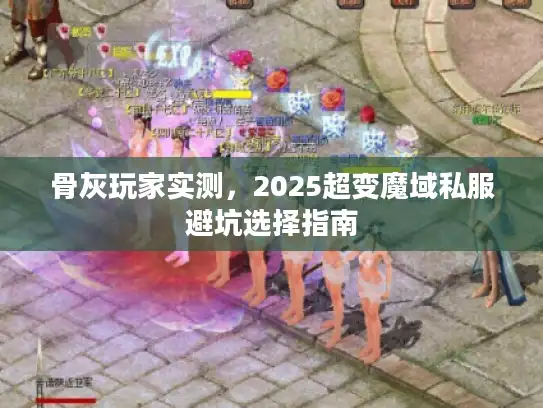 骨灰玩家实测，2025超变魔域私服避坑选择指南