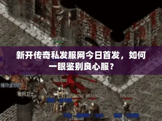 新开传奇私发服网今日首发,如何一眼鉴别良心服? 新开传奇私发服网今日首发,如何一眼鉴别良心服?