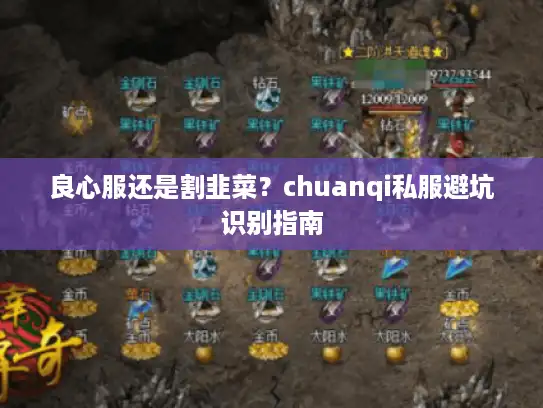 良心服还是割韭菜？chuanqi私服避坑识别指南