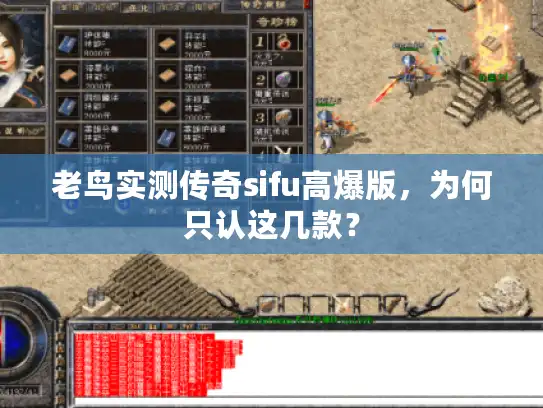 老鸟实测传奇sifu高爆版，为何只认这几款？