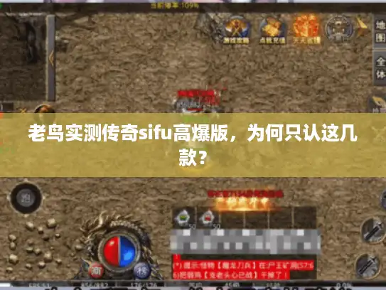 老鸟实测传奇sifu高爆版，为何只认这几款？