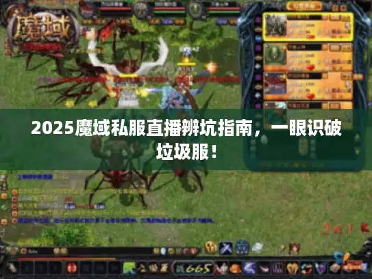 2025魔域私服直播辨坑指南，一眼识破垃圾服！