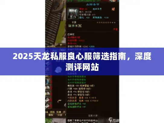 2025天龙私服良心服筛选指南，深度测评网站