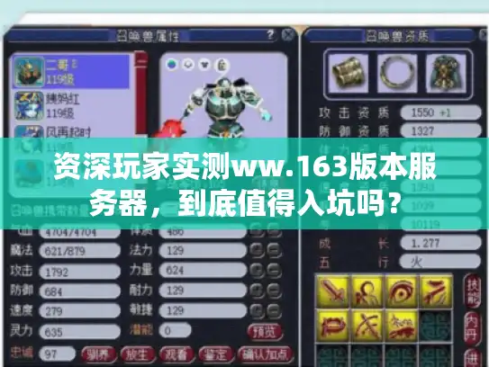 资深玩家实测ww.163版本服务器，到底值得入坑吗？