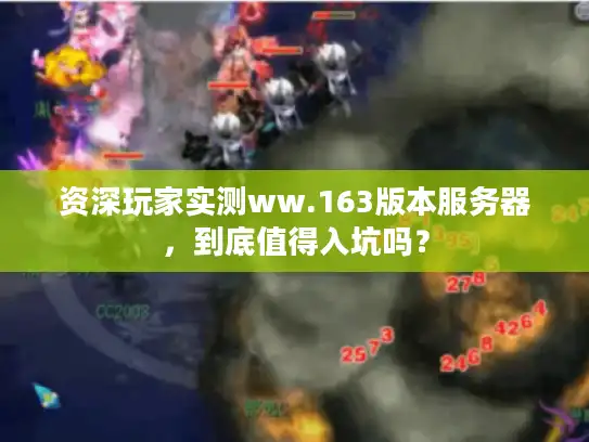 资深玩家实测ww.163版本服务器，到底值得入坑吗？