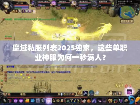 魔域私服列表2025独家，这些单职业神服为何一秒满人？