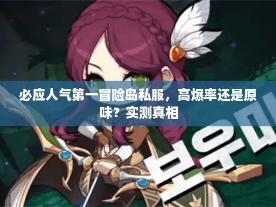 必应人气第一冒险岛私服，高爆率还是原味？实测真相