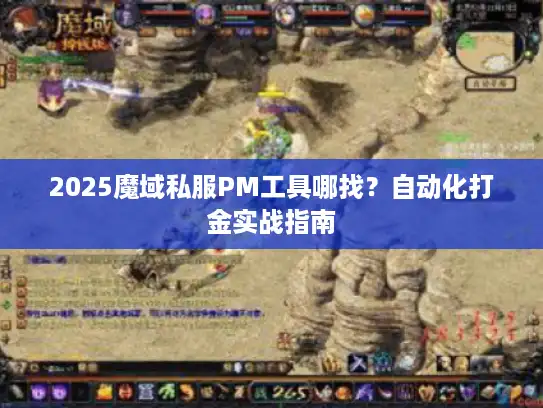 2025魔域私服PM工具哪找？自动化打金实战指南