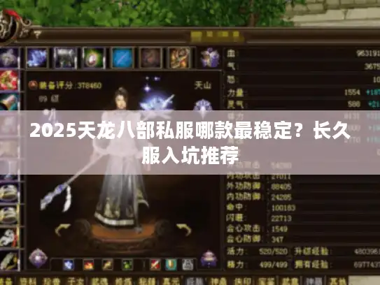 2025天龙八部私服哪款最稳定？长久服入坑推荐