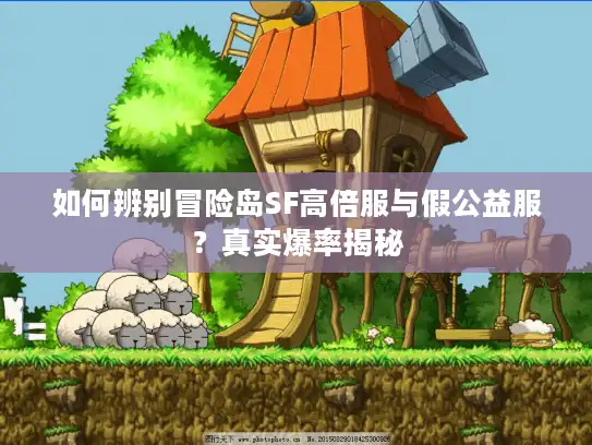 如何辨别冒险岛SF高倍服与假公益服？真实爆率揭秘