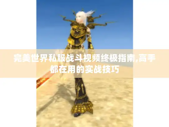 完美世界私服战斗视频终极指南,高手都在用的实战技巧