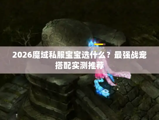 2026魔域私服宝宝选什么？最强战宠搭配实测推荐