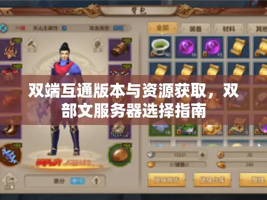 双端互通版本与资源获取，双部文服务器选择指南